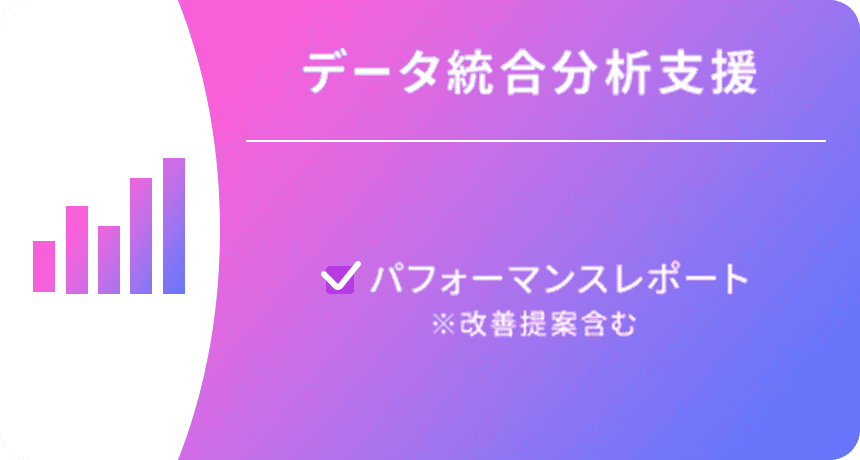 データ統合分析支援