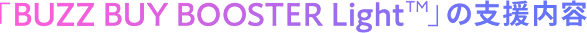 「BUZZ BUY BOOSTER Light™」の支援内容