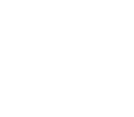 資料ダウンロード