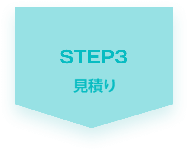 STEP03